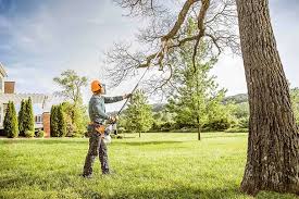 How Our Tree Care Process Works  in Chickasaw, AL